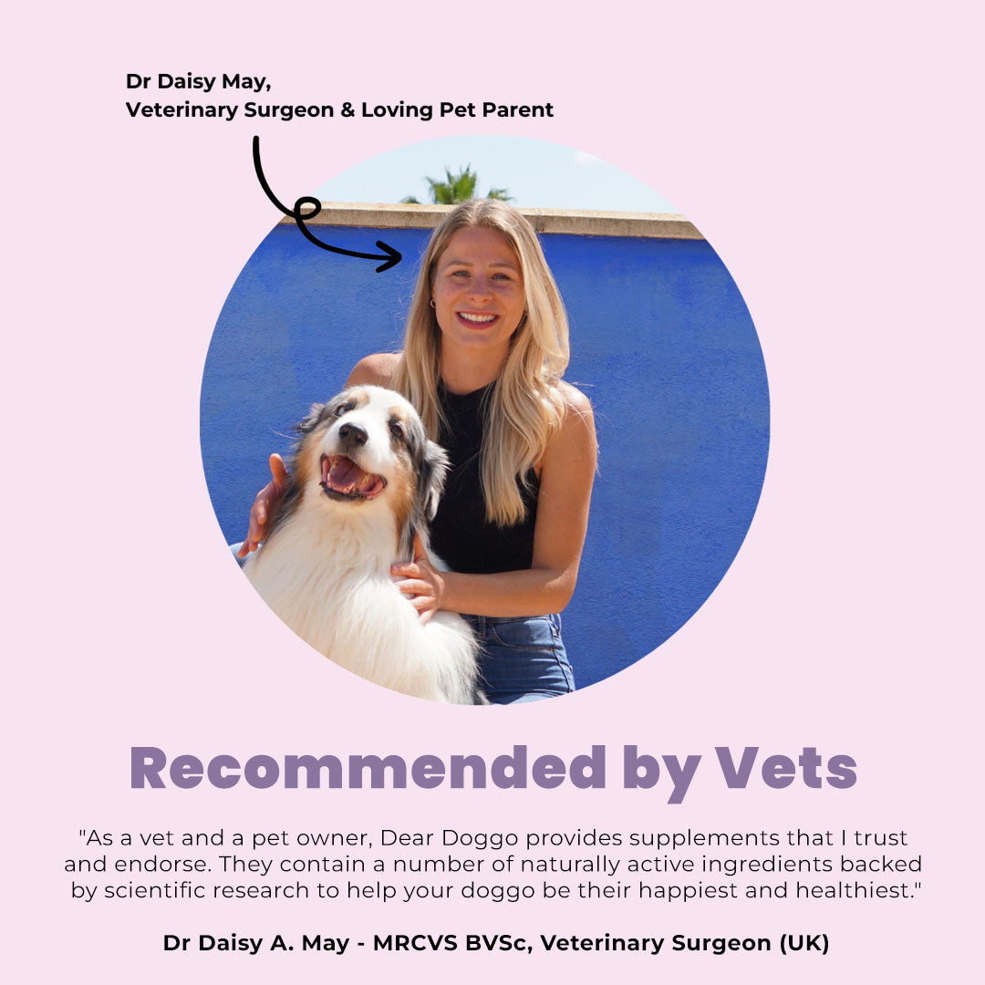 Daily Skin & Coat Chews
